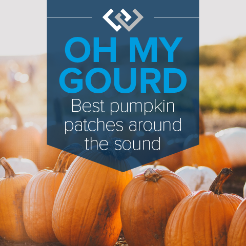 Oh My Gourd! Best Pumpkin Patches Around the Sound